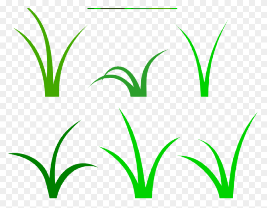 17 Grass Ideas | Grass, Png Images,
