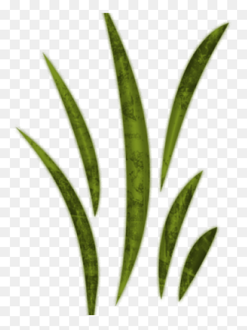 17 Grass Ideas | Grass, Png Images,