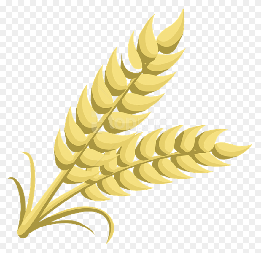 Free Grain Cliparts, Download Free 