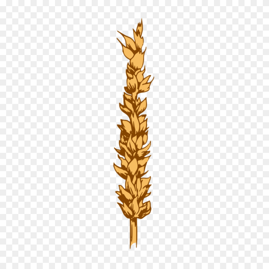 Free Grain Cliparts, Download Free 