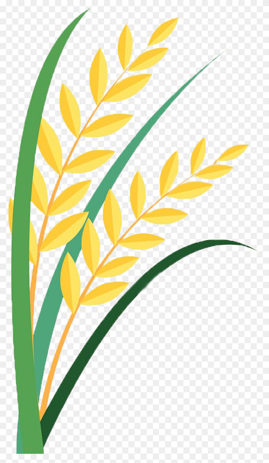 Free Grain Cliparts, Download Free 