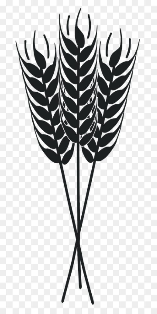 Free Grain Cliparts, Download Free 
