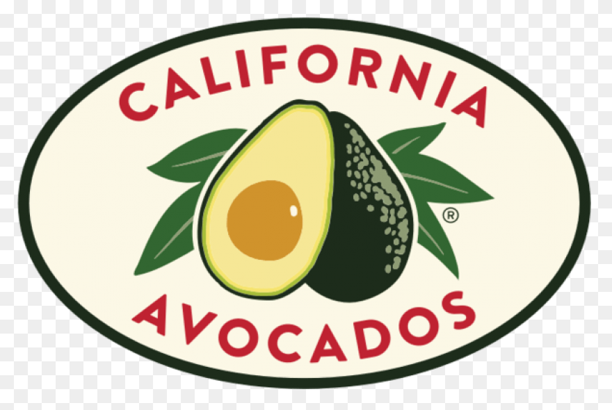 Guacamole Avocado Salad - Free Vect