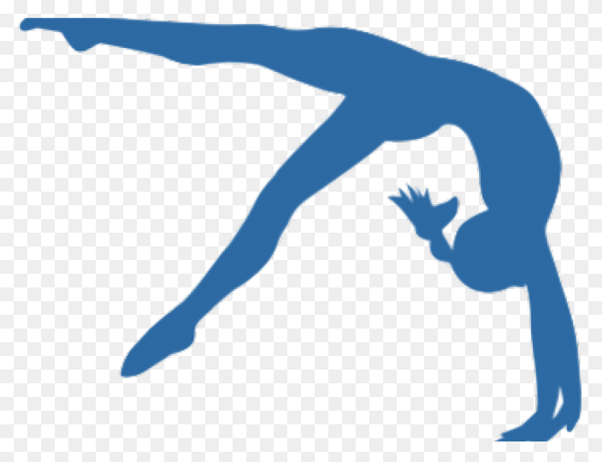Gymnastics At The 1896 Summer Olymp