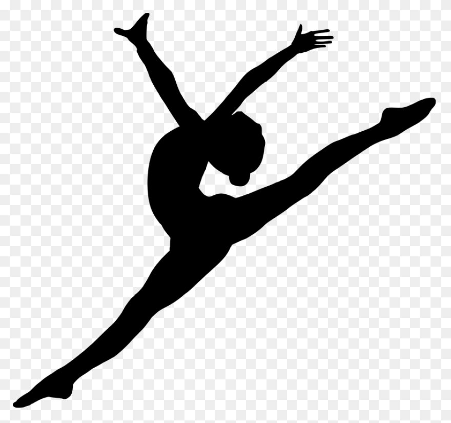 Gymnastics At The 1896 Summer Olymp