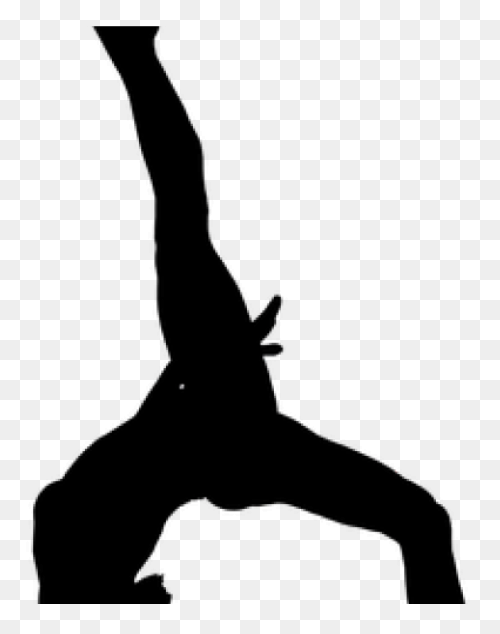 Gymnastics At The 1896 Summer Olymp