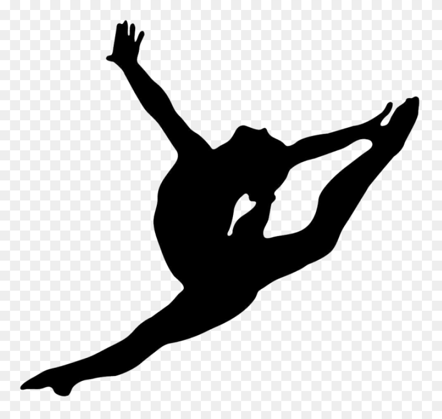 Gymnastics At The 1896 Summer Olymp