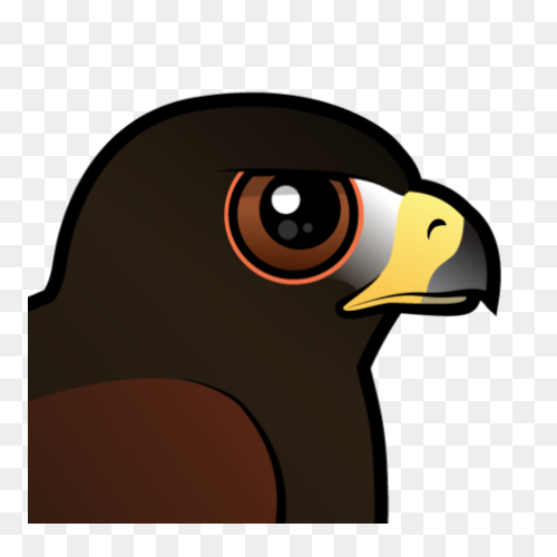 Hawk Icon | Free Svg