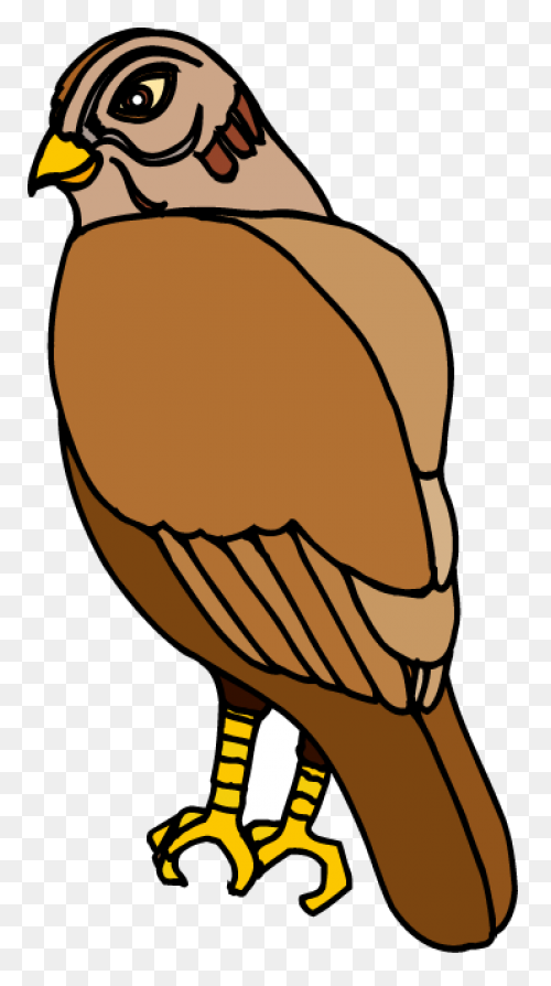 Hawk Icon | Free Svg