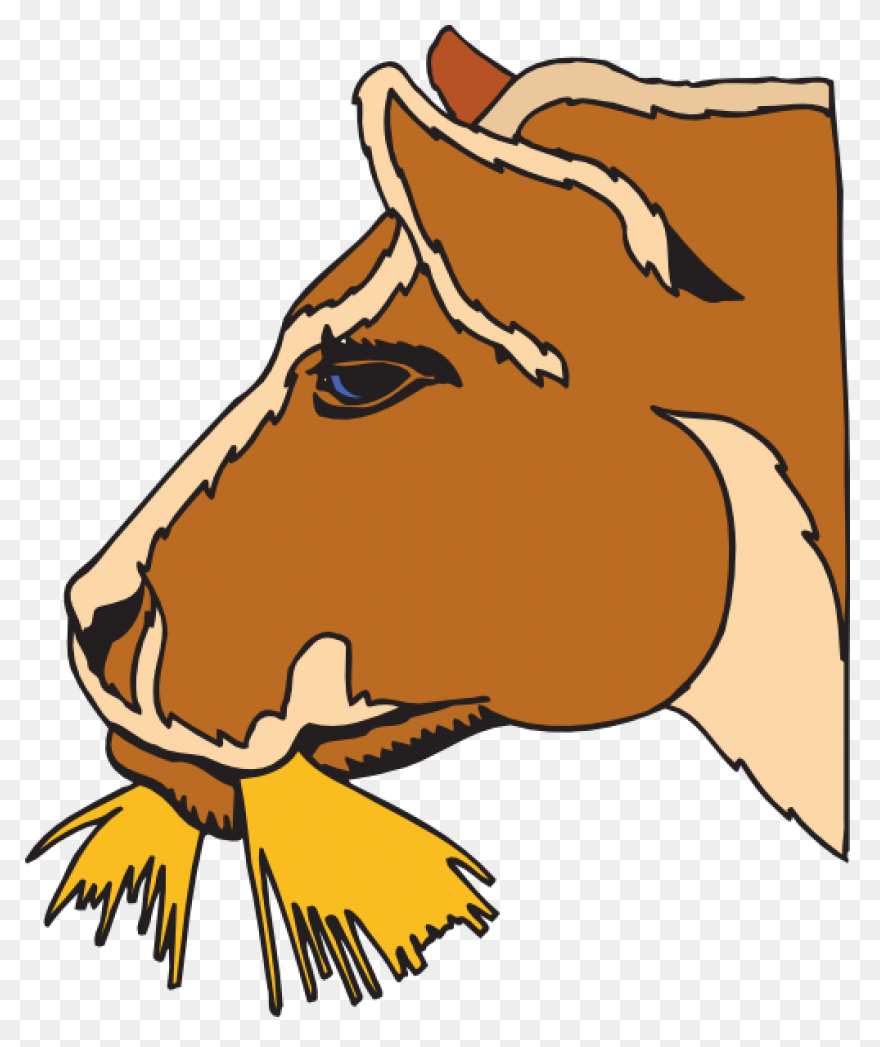 13 Hay Clipart Preview : - Hay