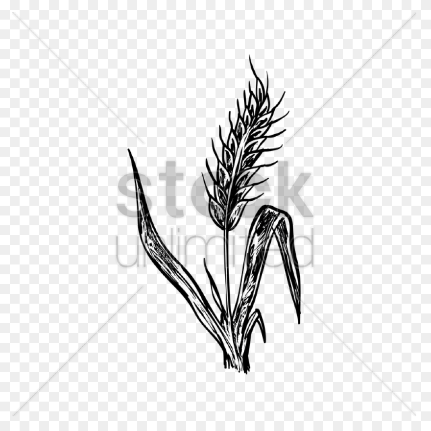 Barn With Hay Clip Art - Barn With 