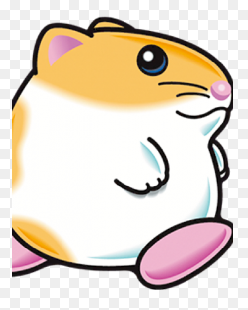 Hamster Physiology | Superpower Wiki - Hamster