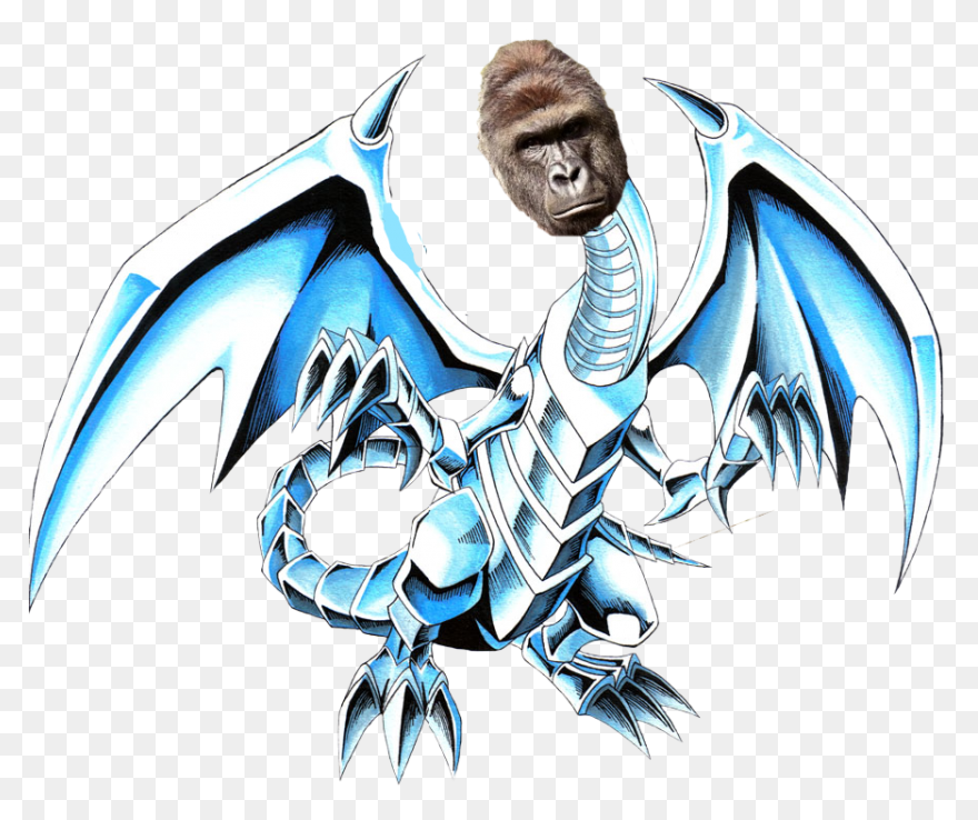Rip Harambe: #02 - Harambe The Gori