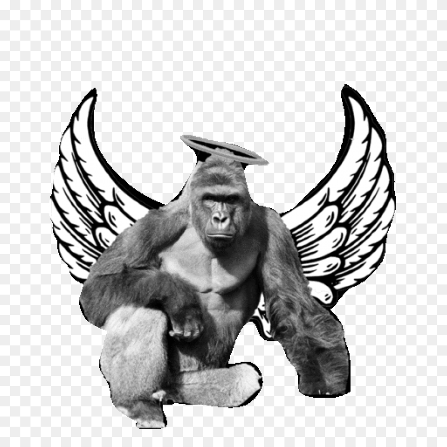 Rip Harambe: #02 - Harambe The Gori
