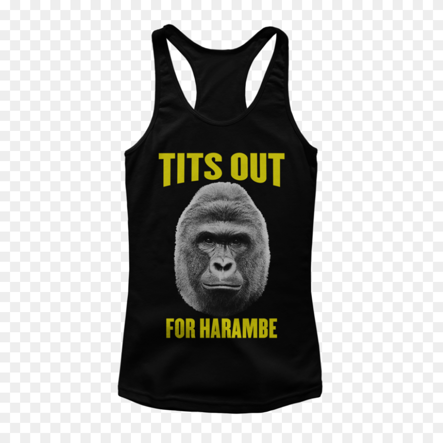 Rip Harambe: #02 - Harambe The Gori
