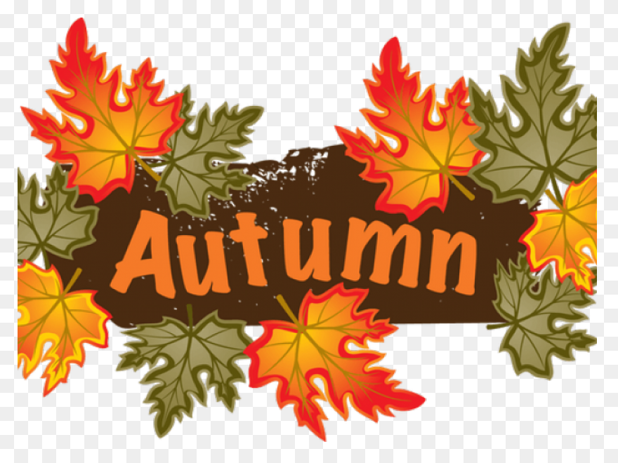 Harvest Carnival - Donations Needed