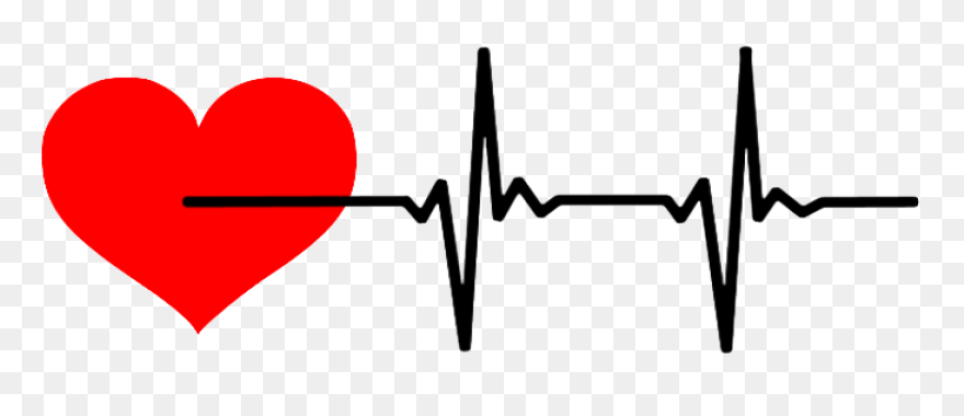 Heart Rate Bpm Ecg - Ecg Transparen