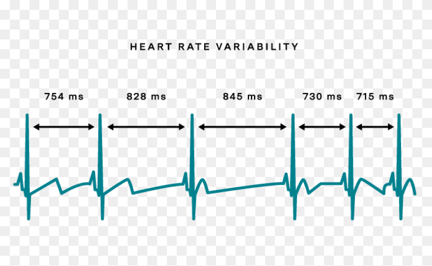 What Is Hrv? Healthy Heart - Heart Rate