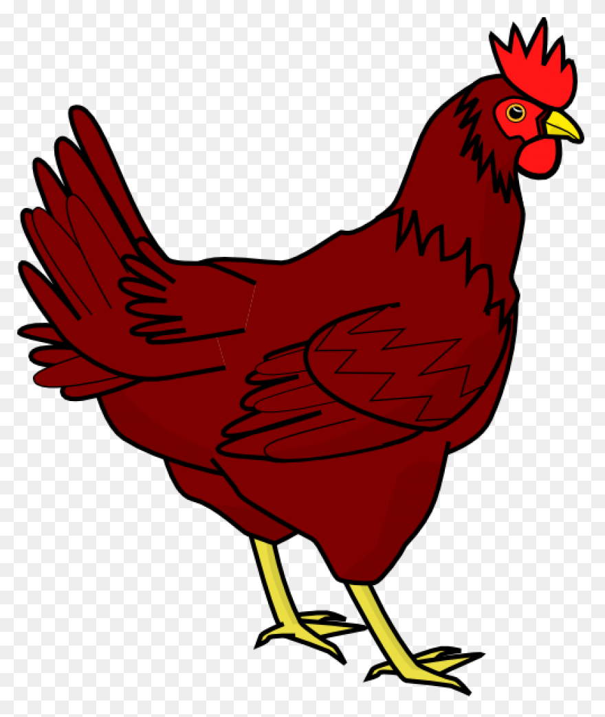 Hen Clip Art - Hen Image