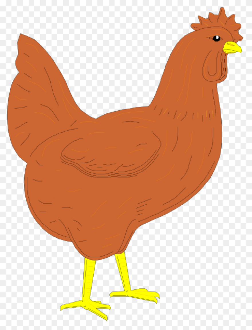Hen Clip Art - Hen Image