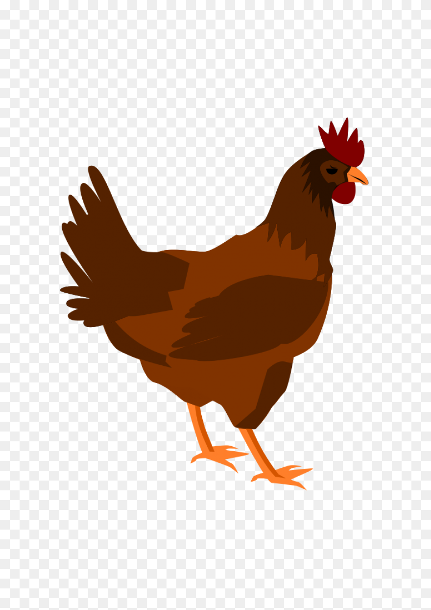 Hen Clip Art - Hen Image