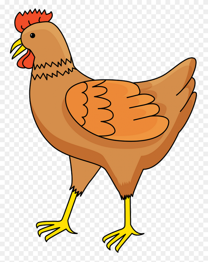 Hen Clip Art - Hen Image