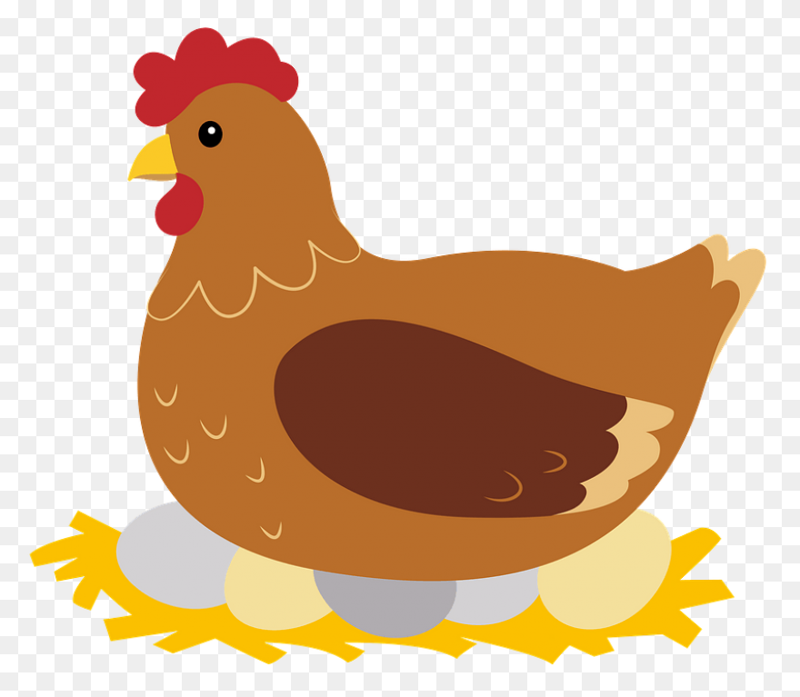 Hen Clipart. Free Download .png - Hen