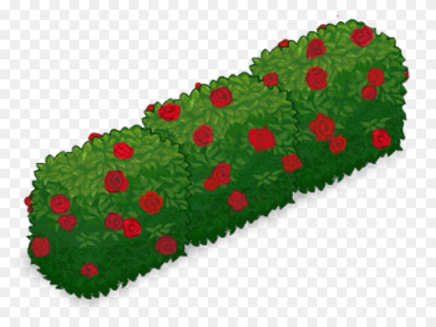 Free Hedge Tree Cliparts, Download 
