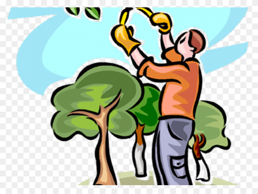 Free Hedge Tree Cliparts, Download 