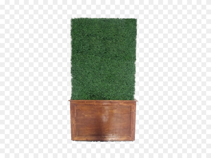 Free Hedge Tree Cliparts, Download 