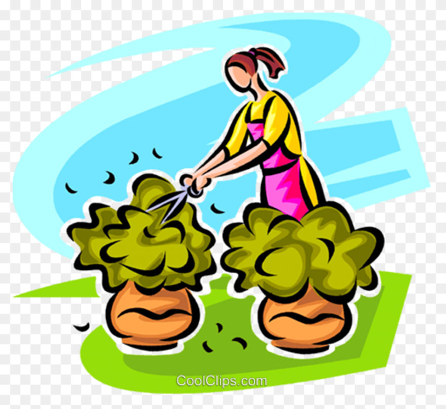 Free Hedge Tree Cliparts, Download 