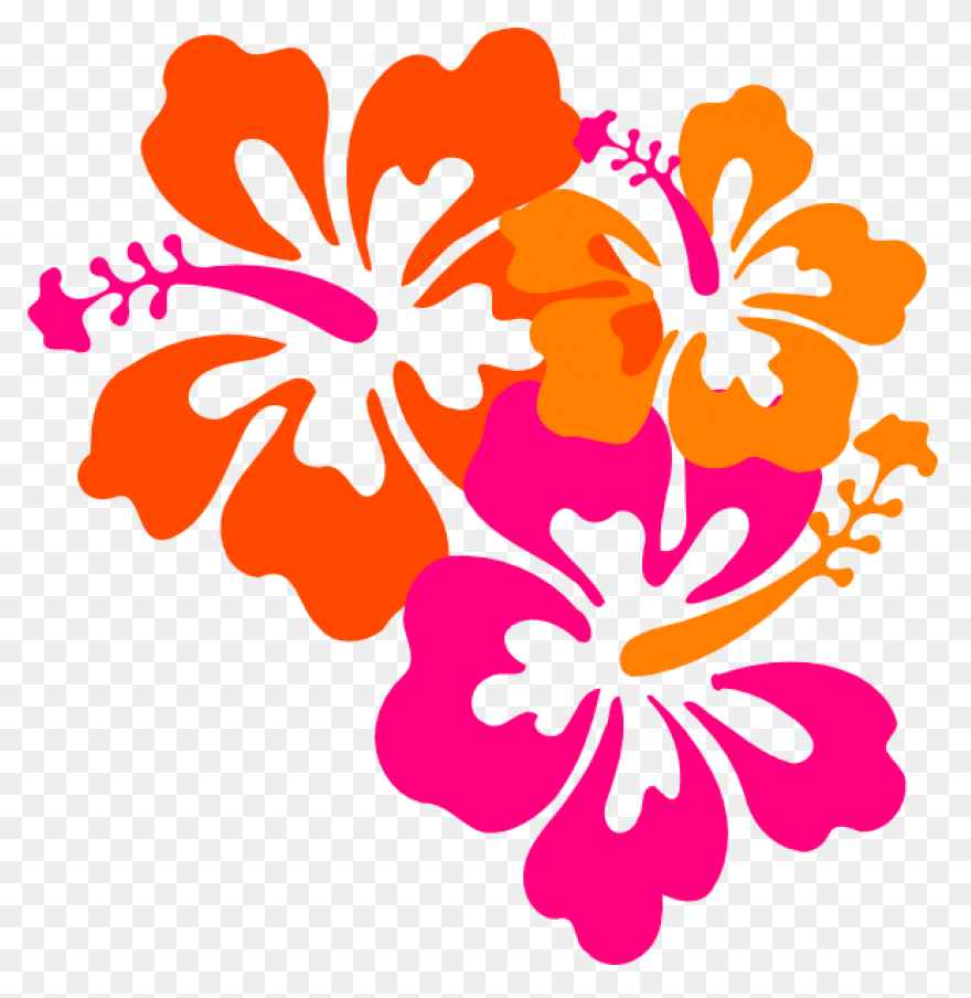 Orange Hibiscus Flower Clipart Free - Hibiscus