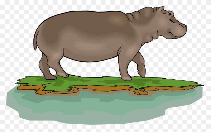 Free Hippo Clipart 5 .com - Hippo