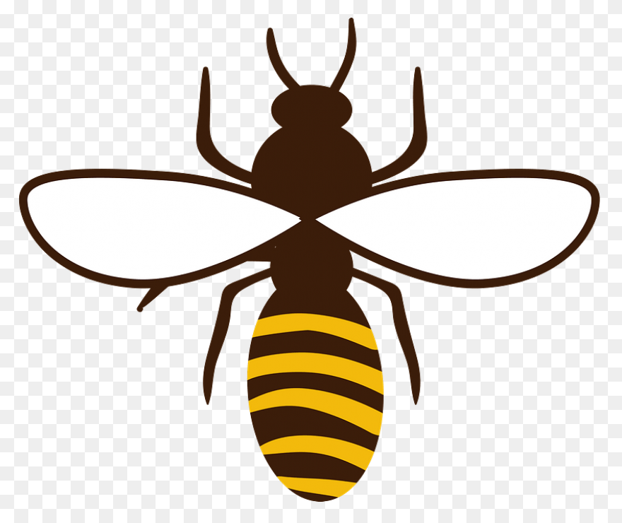 Honey Bee Clipart - Clipart Suggest