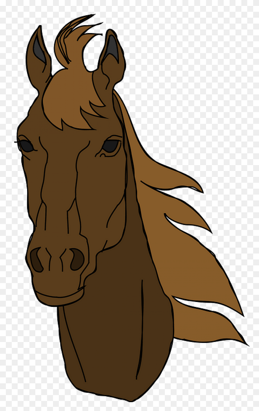 Clip Art Horse Head | Horse Head, S