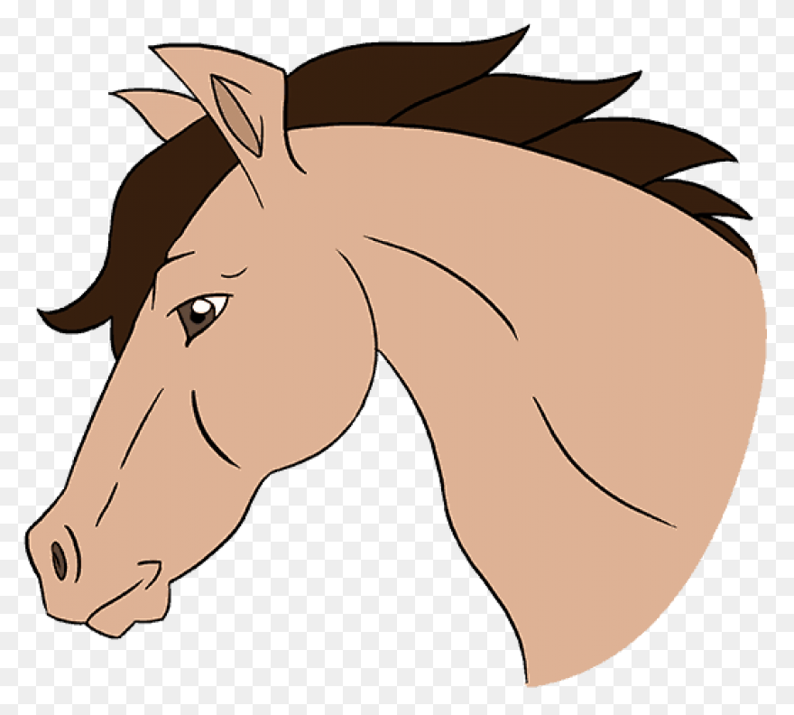 Clip Art Horse Head | Horse Head, S
