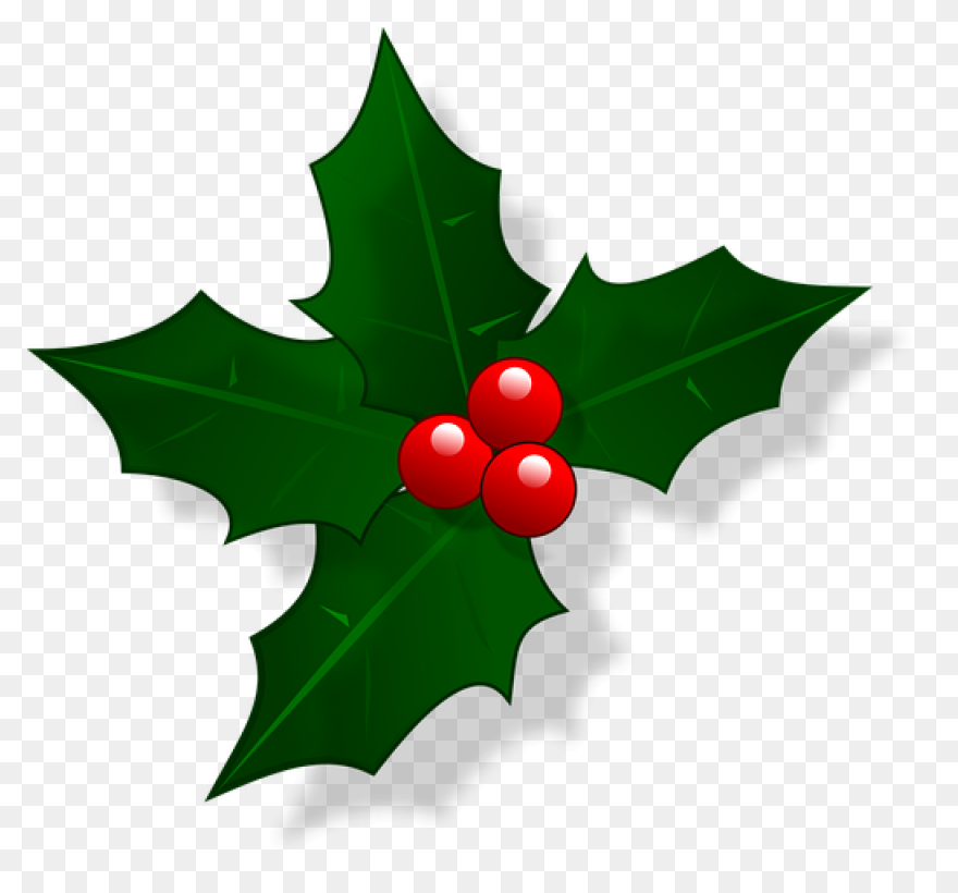 Holly, Berries, Leaves Spread, Gree