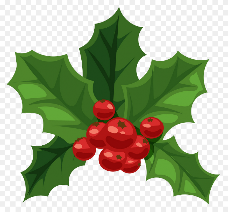 Holly, Berries, Leaves Spread, Gree