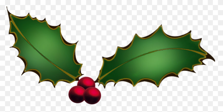 Holly, Berries, Leaves Spread, Gree