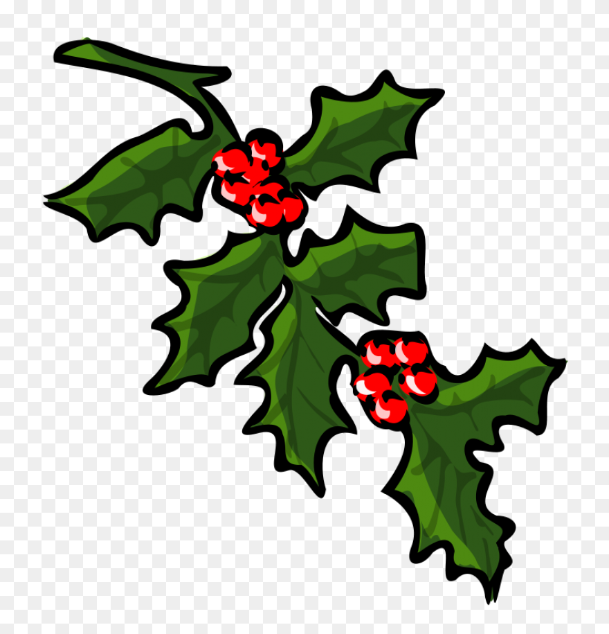 Holly, Berries, Leaves Spread, Gree