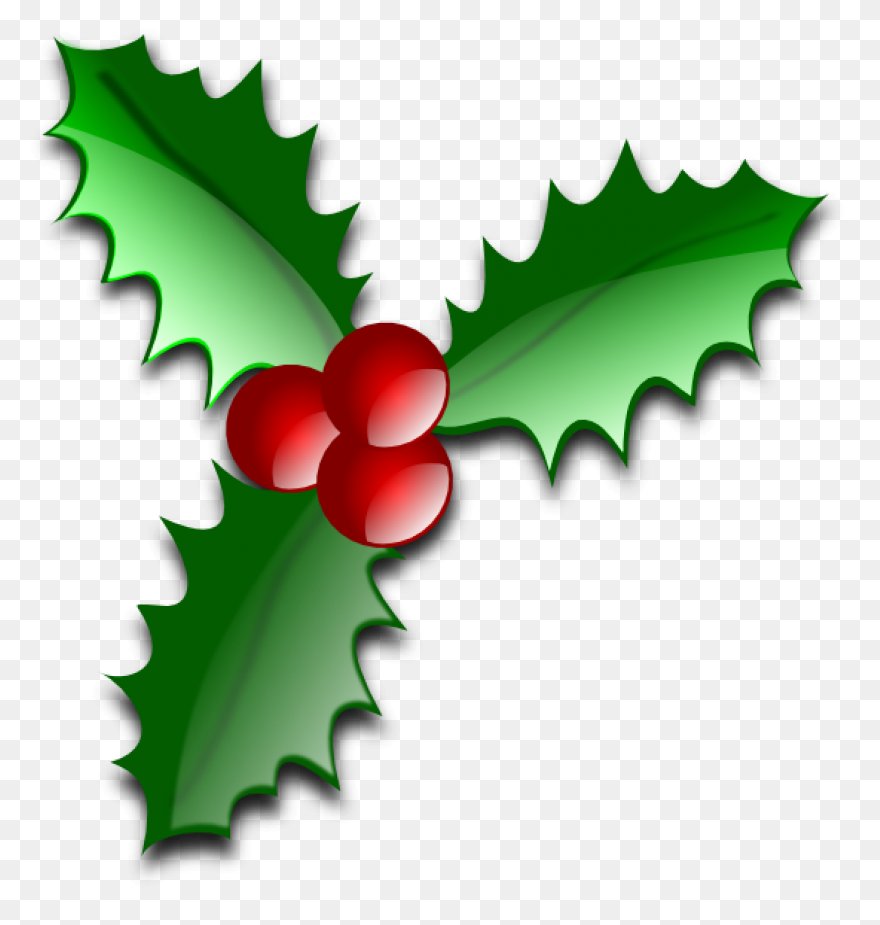 Holly, Berries, Leaves Spread, Gree