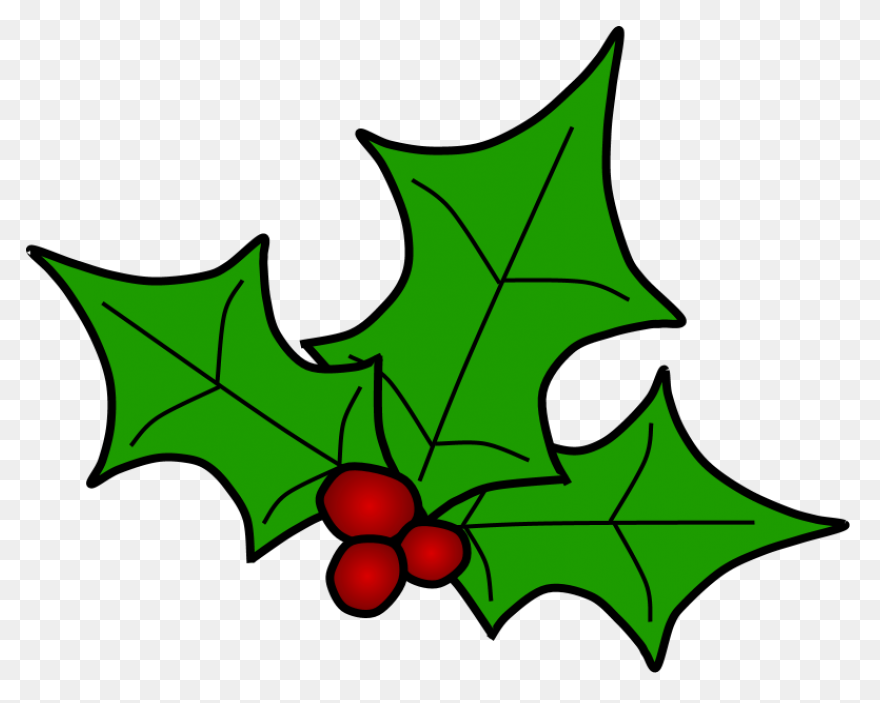 Holly Berries Leaves Spread Green - Holly