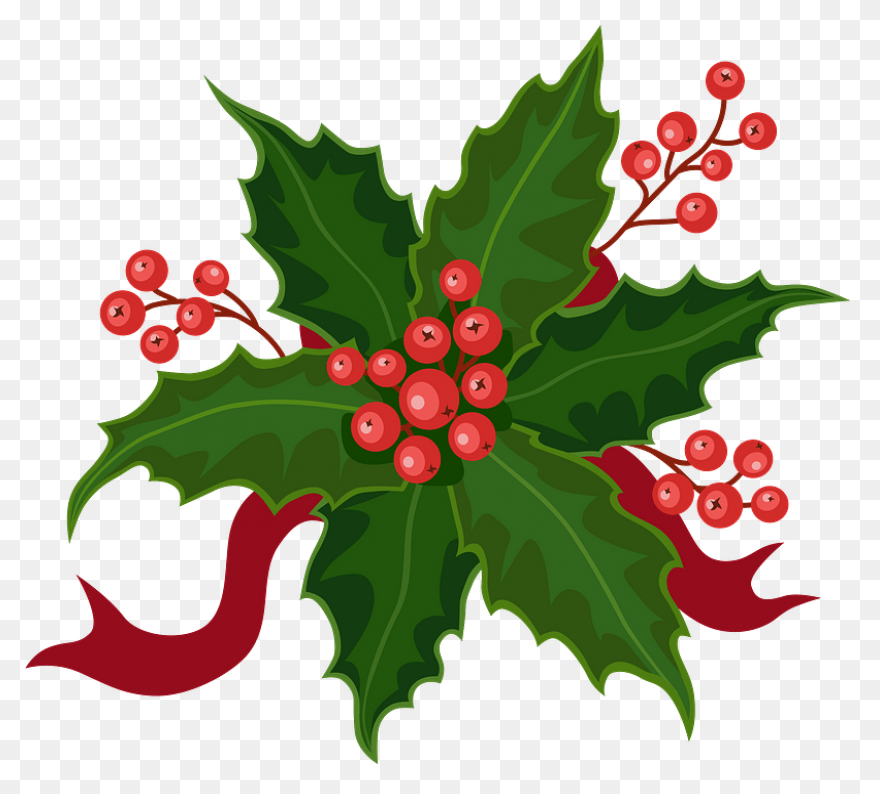 Holly, Berries, Leaves Spread, Gree