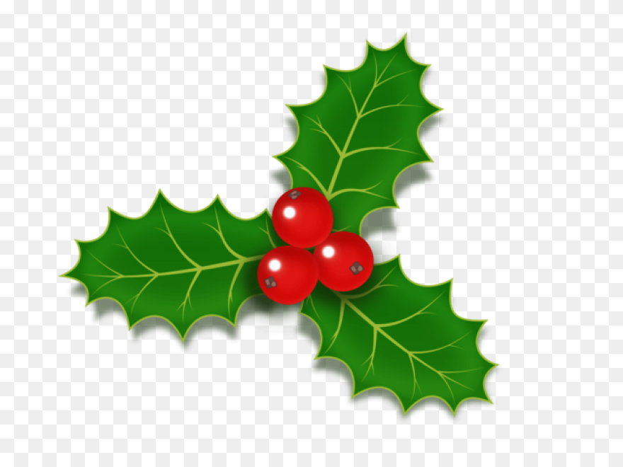 Holly, Berries, Leaves Spread, Gree