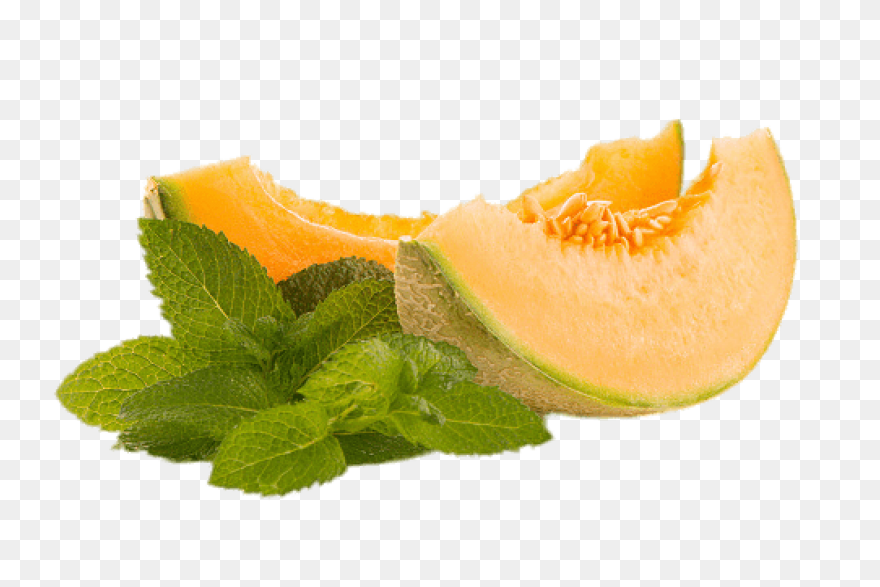 Honeydew Mint By Xtra Disposables �