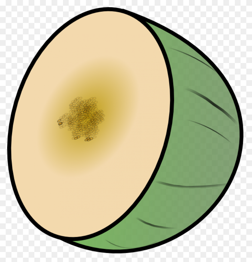 Honeydew Mint By Xtra Disposables �