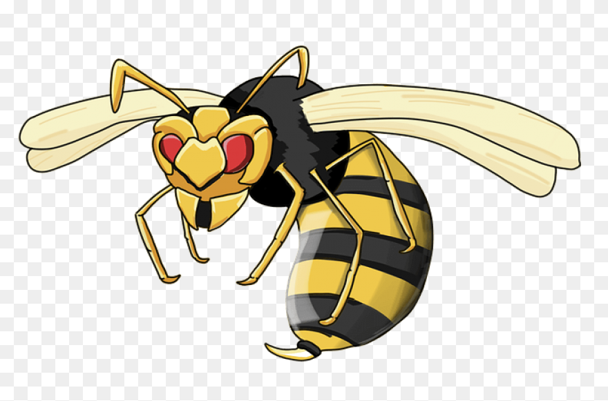 Alabama State Hornets | Alabama Sta