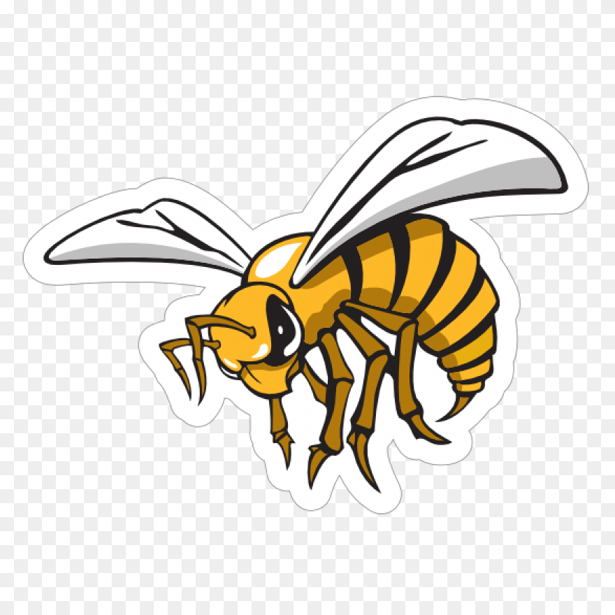 Alabama State Hornets | Alabama Sta