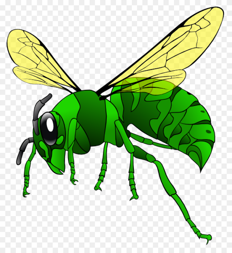 Alabama State Hornets | Alabama Sta