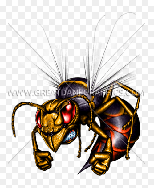 Alabama State Hornets | Alabama Sta